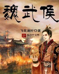 魏武侯百度百科
