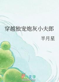 独宠小夫郎by